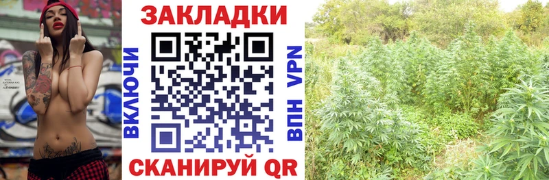 Сколько стоит Кизел Амфетамин  МЕТАМФЕТАМИН  Alpha PVP  ГАШИШ  Каннабис  МЕФ 
