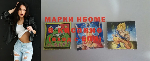 МДПВ Карпинск