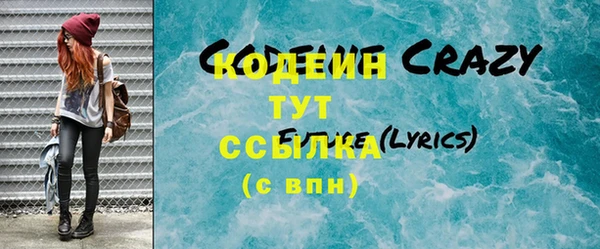 мет Инта