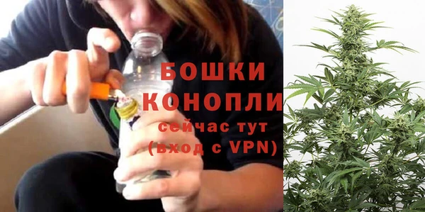 МДПВ Карпинск