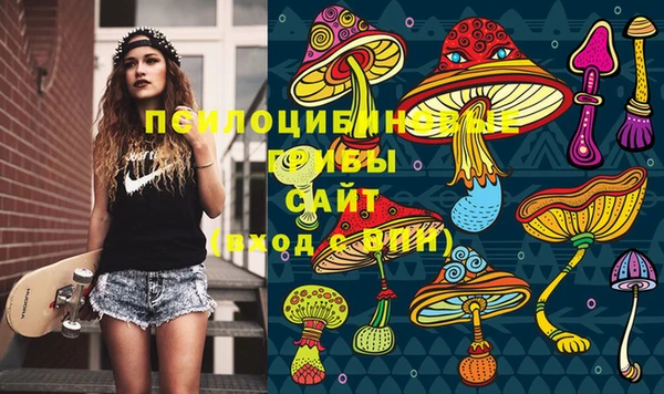 МДПВ Карпинск