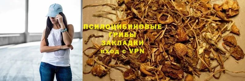 Галлюциногенные грибы Magic Shrooms Кизел